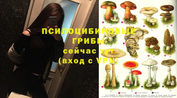 мет Нея