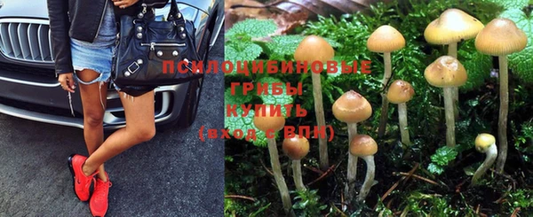 гашиш Нефтекумск