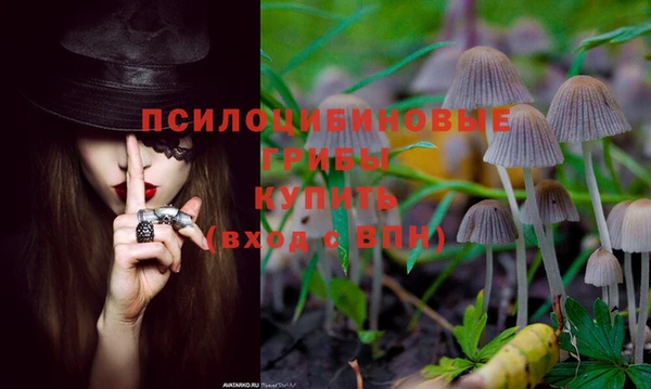 скорость Вяземский