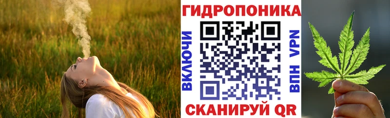 где можно купить   Миньяр  Шишки марихуана THC 21% 